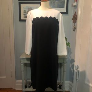 NWT Ann Taylor Sheath Dress